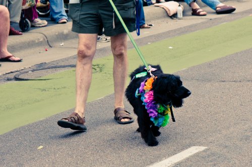 Yet another supporter of equality at Twin Cities Pride.